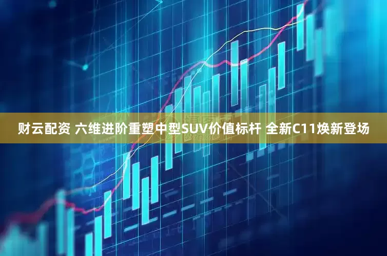 财云配资 六维进阶重塑中型SUV价值标杆 全新C11焕新登场