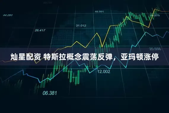 灿星配资 特斯拉概念震荡反弹，亚玛顿涨停