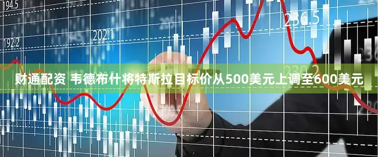 财通配资 韦德布什将特斯拉目标价从500美元上调至600美元