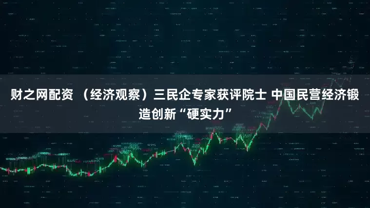 财之网配资 （经济观察）三民企专家获评院士 中国民营经济锻造创新“硬实力”
