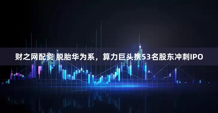 财之网配资 脱胎华为系，算力巨头携53名股东冲刺IPO